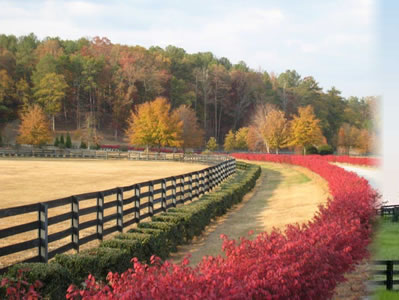 Foxhall Farms off of South Fulton Parkway